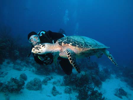 DSCN7758