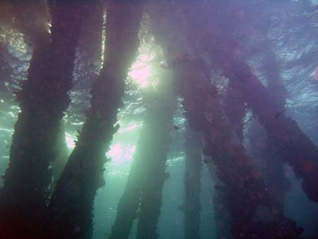 IMAG0177