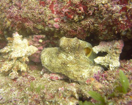 M0010177