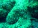 M0010078