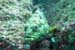 M0010194