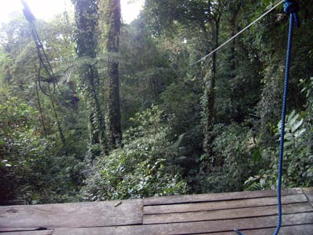 IMAG0324