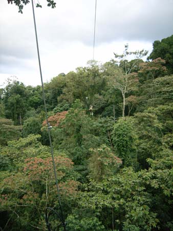 IMAG0333