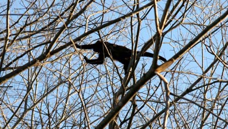 IMG_0226