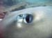 IMAG0238