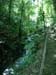 IMAG0335
