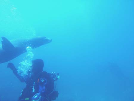 IMAG0010-1