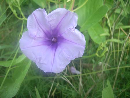 IMAG0088