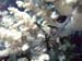 IMAG0035